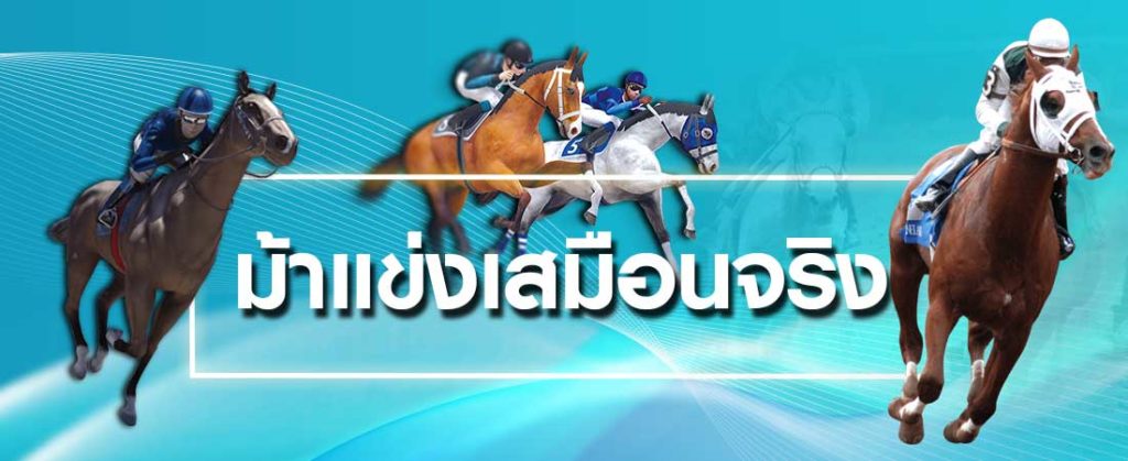 วิธีเข้าเล่น horseracing พนันกีฬาแข่งม้าจำลอง